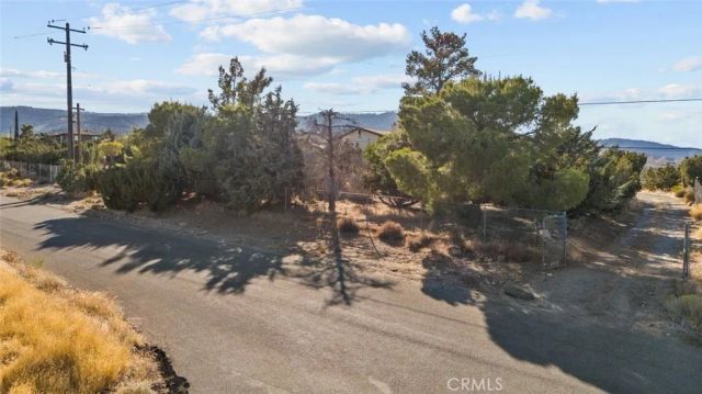 8676 Sky Line Drive, Pinon Hills, CA 92372
