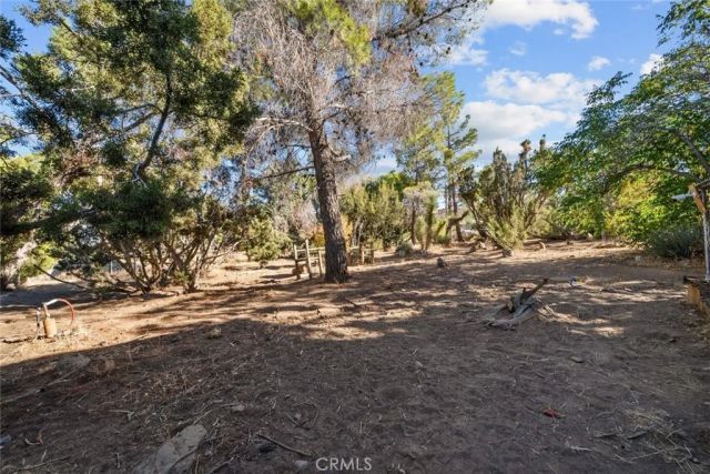 8676 Sky Line Drive, Pinon Hills, CA 92372
