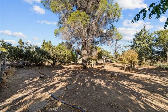8676 Sky Line Drive, Pinon Hills, CA 92372