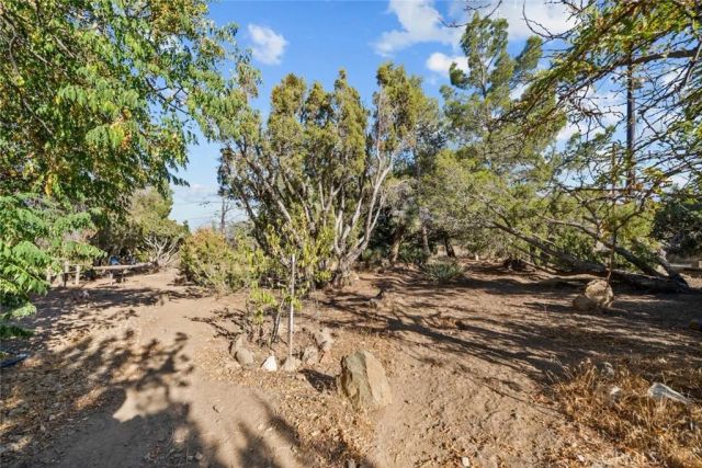 8676 Sky Line Drive, Pinon Hills, CA 92372