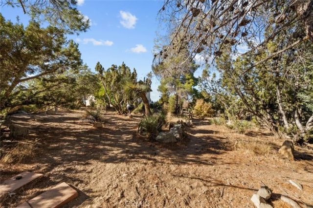 8676 Sky Line Drive, Pinon Hills, CA 92372