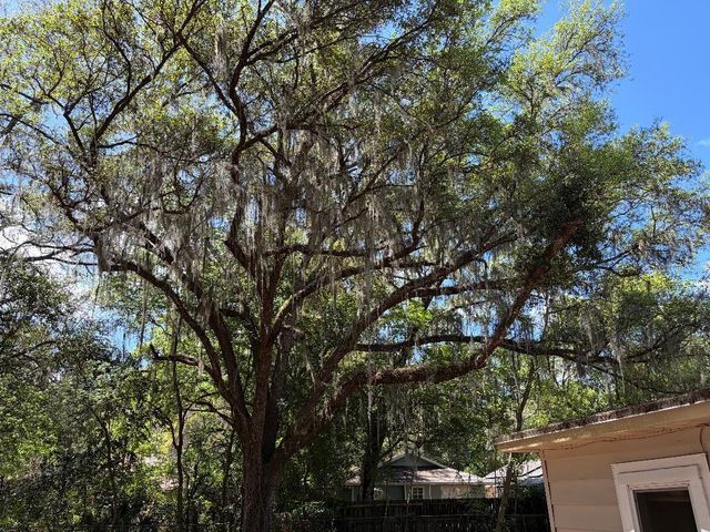 1623 SE 3RD AVENUE, Gainesville, FL 32641