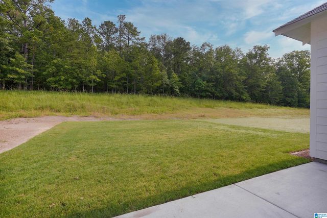 00152 SHILOH CREEK DRIVE, Calera, AL 35040