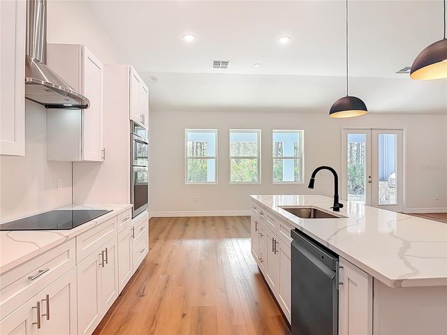 30798 APRICOT AVENUE, Eustis, FL 32736