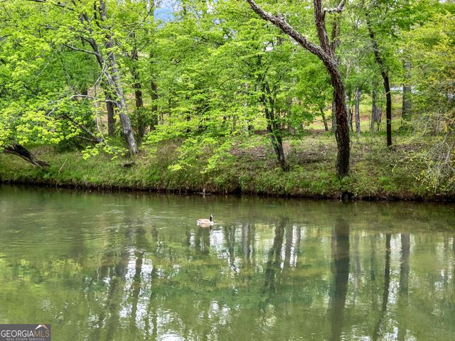 589 Spalding Circle, Ellijay, GA 30540