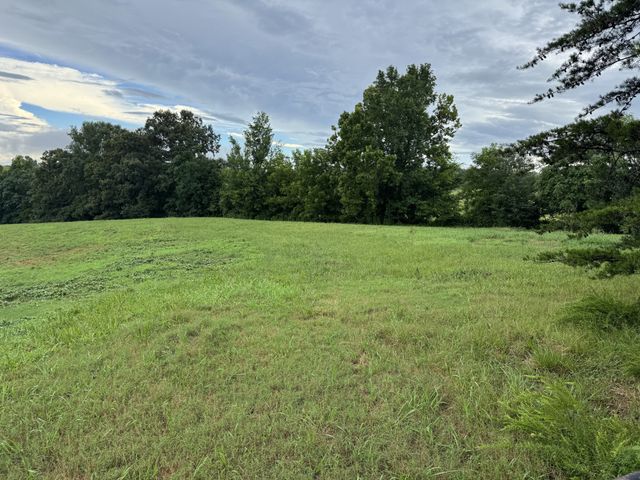 0 Potts Camp Rd, Smithville, TN 37166