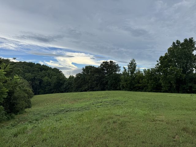 0 Potts Camp Rd, Smithville, TN 37166