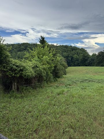 0 Potts Camp Rd, Smithville, TN 37166