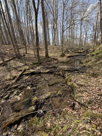 0 Potts Camp Rd, Smithville, TN 37166