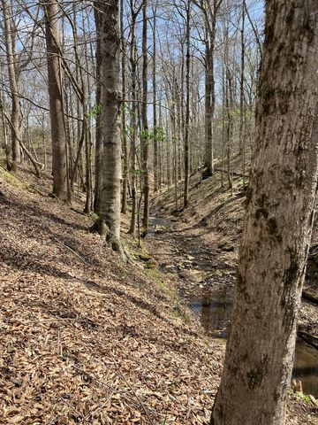 0 Potts Camp Rd, Smithville, TN 37166