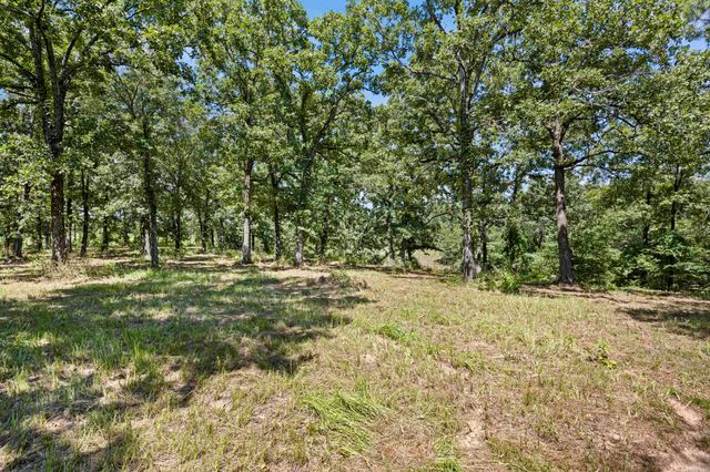 425 Hartwick Ln Lane, Atkins, AR 72823