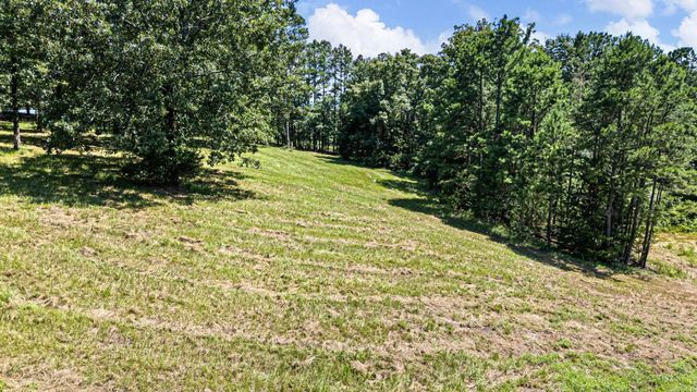425 Hartwick Ln Lane, Atkins, AR 72823