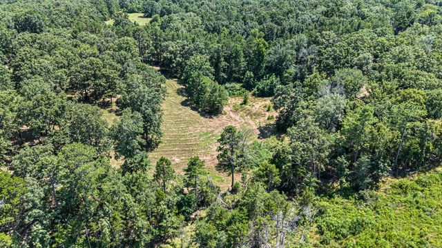 425 Hartwick Ln Lane, Atkins, AR 72823