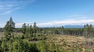 111 NE Ridgetop Court, Belfair, WA 98528