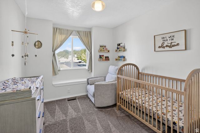 8479 S 1590 W, West Jordan, UT 84088