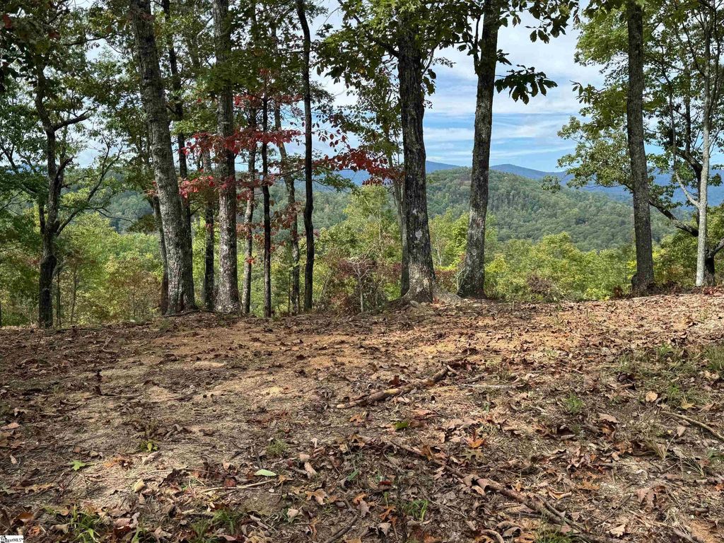 230 Blue Bonnet Trail, Marietta, SC 29661