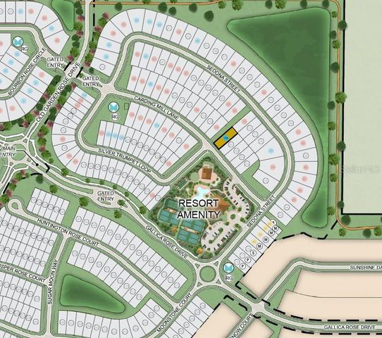 11192 CARDING MILL LANE, Winter Garden, FL 34787