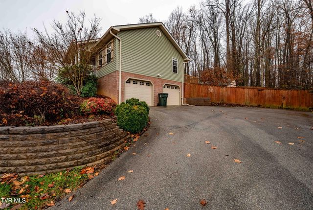 481 Emma Grace Drive, Jonesborough, TN 37659