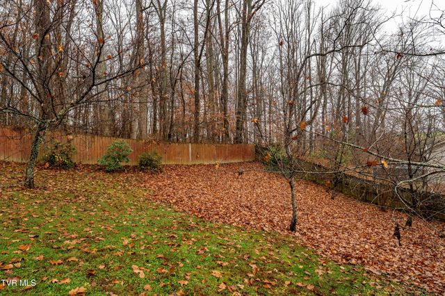 481 Emma Grace Drive, Jonesborough, TN 37659