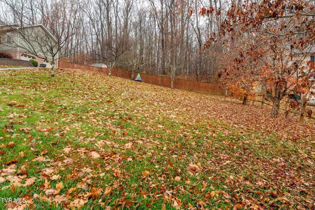 481 Emma Grace Drive, Jonesborough, TN 37659