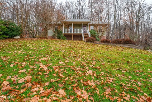 481 Emma Grace Drive, Jonesborough, TN 37659