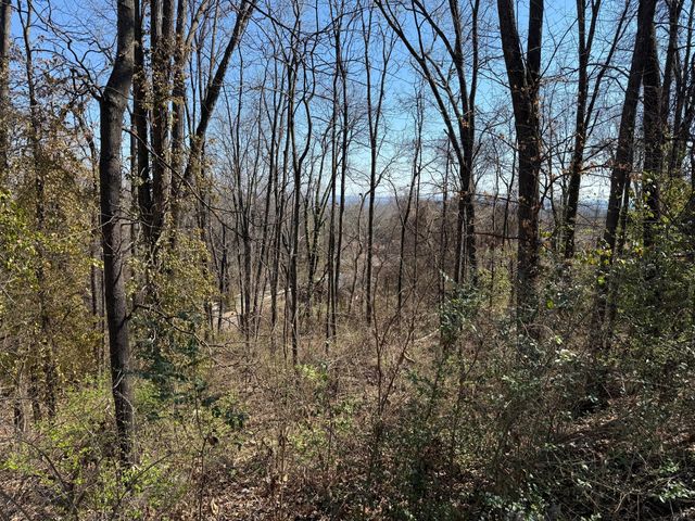 3612 Mountain View Drive, Chattanooga, TN 37405
