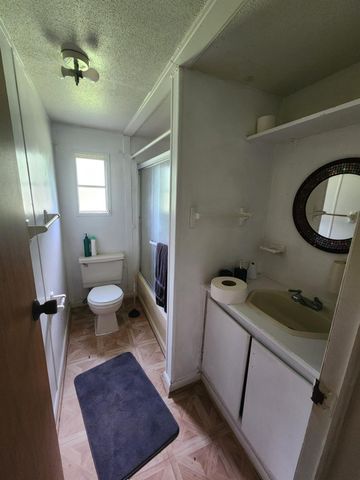190 Briar Meadows Drive, Coldspring, TX 77331