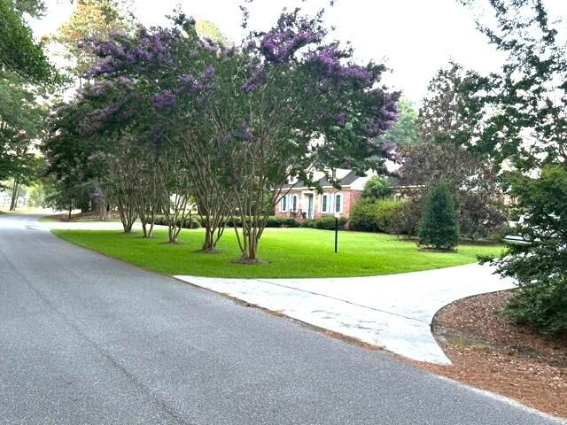 255 Longleaf Drive, Walterboro, SC 29488