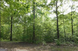 0 North 16 Highway, Whitesburg, GA 30185
