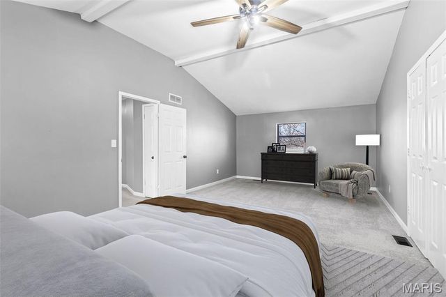 1211 Napoleon Drive, Bonne Terre, MO 63628