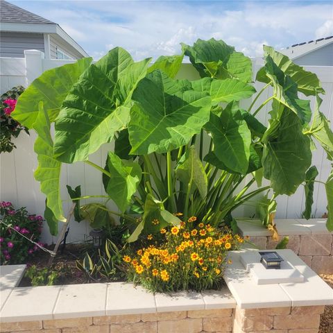 7591 MERGAERT LANE, Middleton, FL 34762