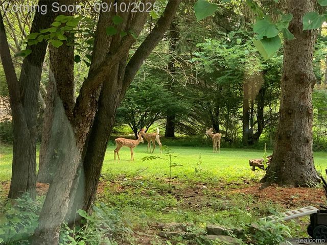 892 Rose Drive, Scio Township, MI 48103