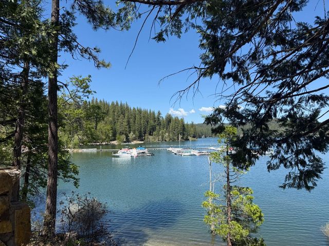 5685 Daisy Cir, Pollock Pines, CA 95726