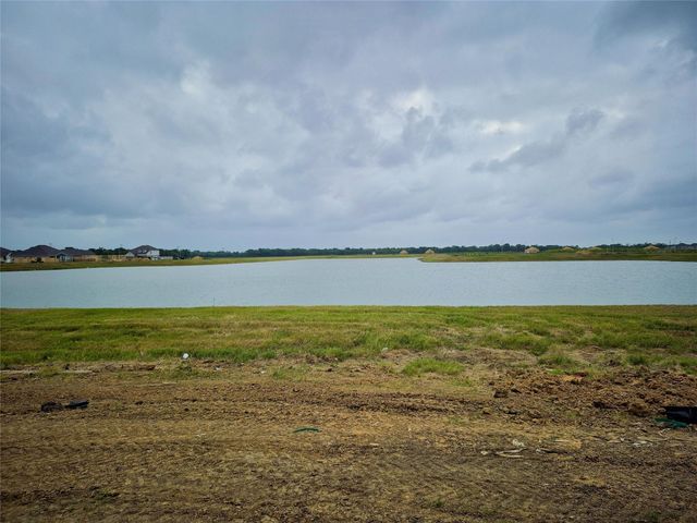 6026 Royal Palm Drive, Manvel, TX 77578