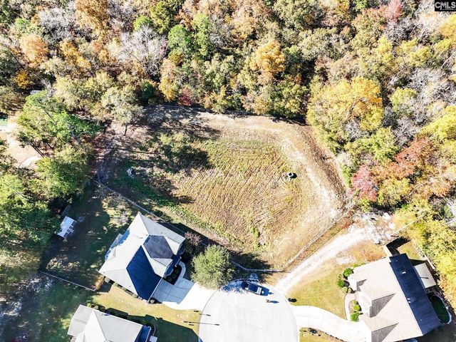 425 Pisgah Flats Court, Lexington, SC 29072