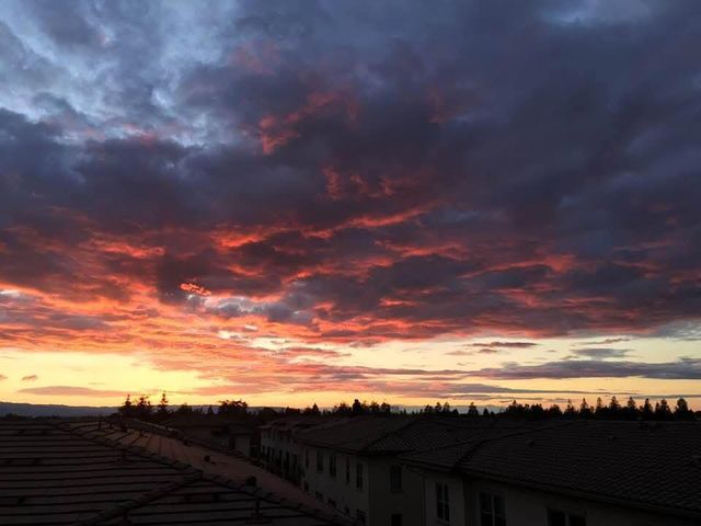 1068 Bigleaf Place 402, San Jose, CA 95131