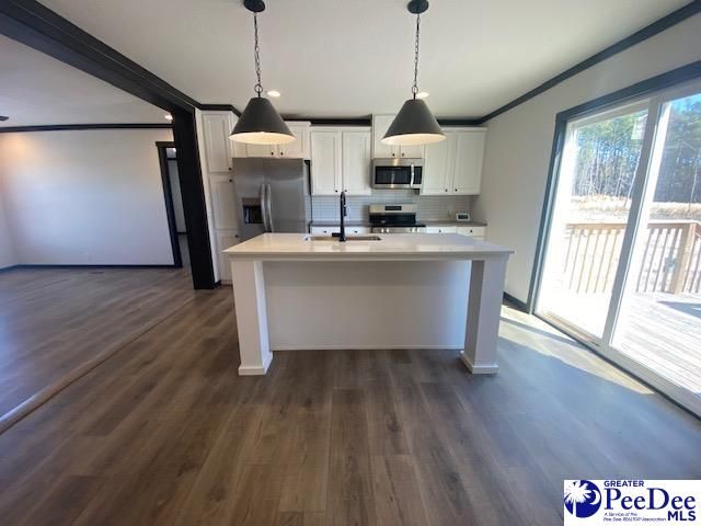 2510 Bridle Path Lane, Timmonsville, SC 29161