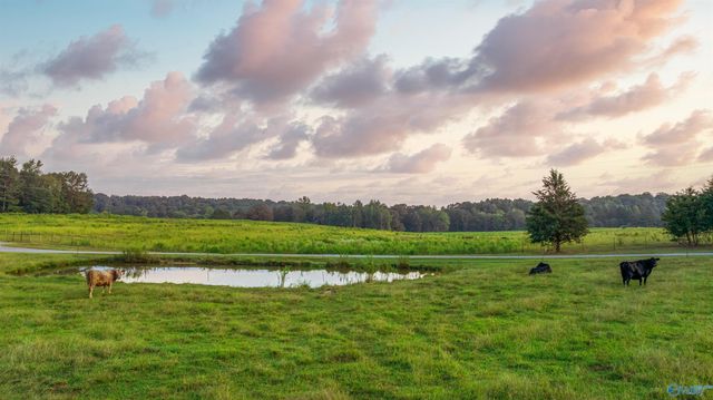 3900 County Road 15, Gaylesville, AL 35973