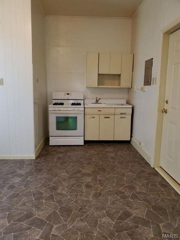 411 S 1st Street, Belleville, IL 62220
