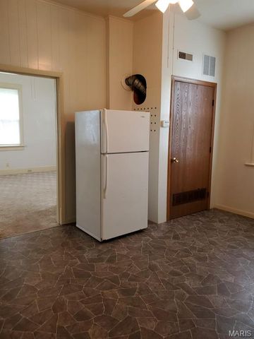 411 S 1st Street, Belleville, IL 62220