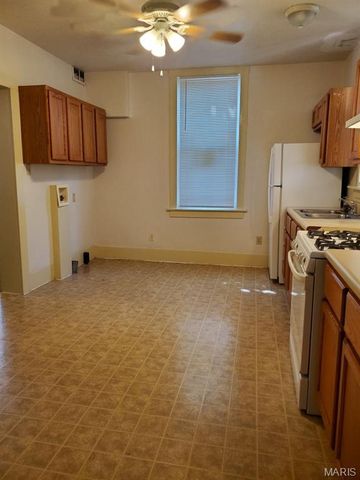 411 S 1st Street, Belleville, IL 62220