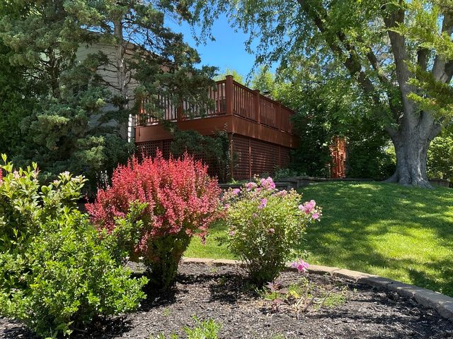 881 Woodhollow Lane, Buffalo Grove, IL 60089