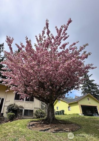 333 Wildcat Street SE, Lacey, WA 98503