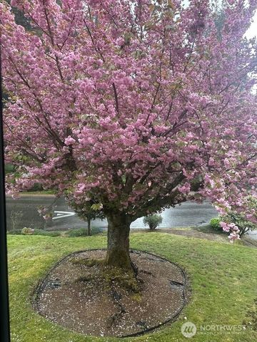 333 Wildcat Street SE, Lacey, WA 98503