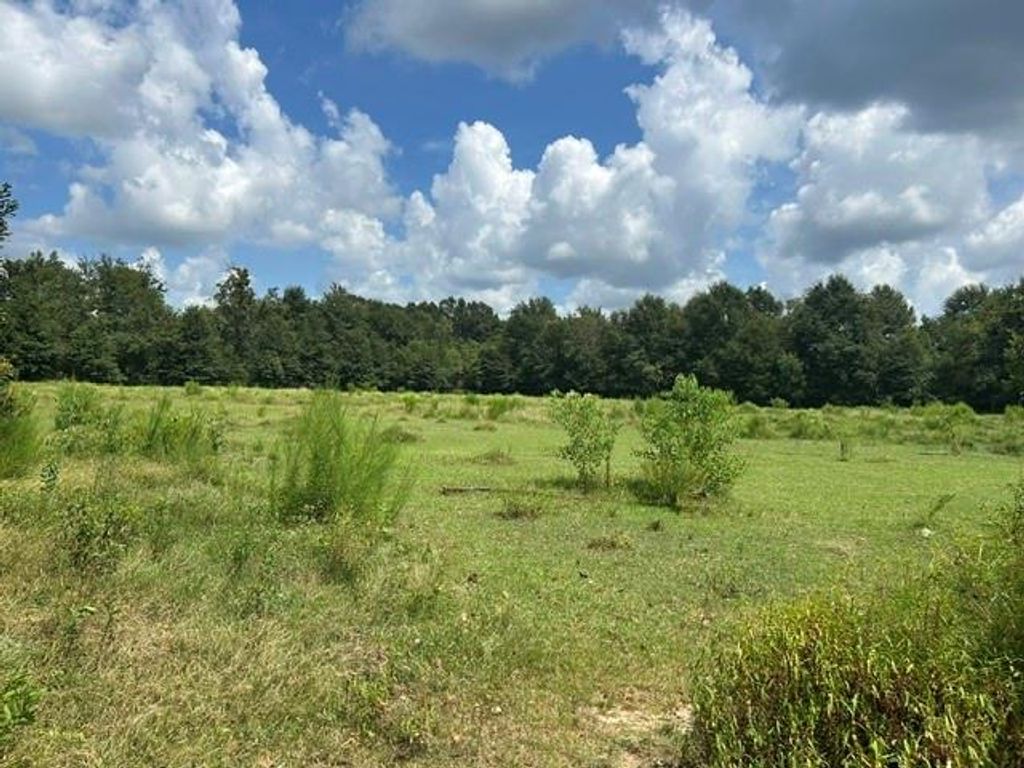 0 Cody Driskell Road, Irvington, AL 36544 — exterior