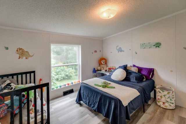 40669 Lows Lake Road, Little Pine Twp, MN 56447