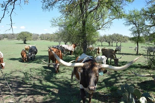 2116 County Road 403, Marble Falls, TX 78654