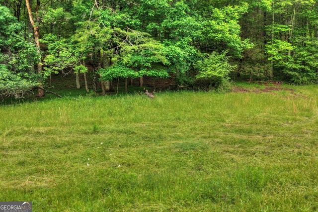 20.11 AC Mountain View Road, Mccaysville, GA 30555
