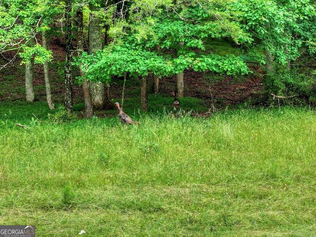 20.11 AC Mountain View Road, Mccaysville, GA 30555