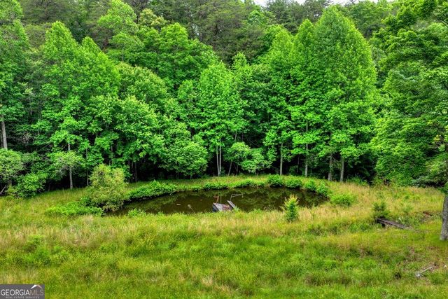 20.11 AC Mountain View Road, Mccaysville, GA 30555